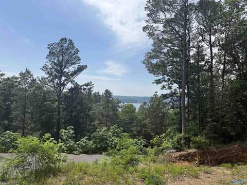 1495 Timberwalk Drive, Guntersville, AL 35976