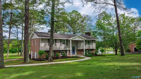 5304 Big Wills Drive NW, Fort Payne, AL 35967