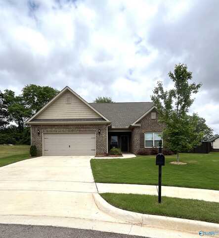 245 Portrait Street, Meridianville, AL 35759