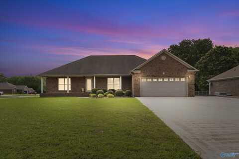 16121 Kyle Moran Drive, Athens, AL 35614