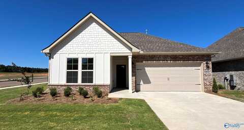 17675 Cabernet Street, Athens, AL 35613