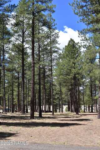 6898 N Sanderson Pass Road, Parks, AZ 86018
