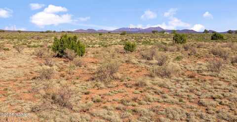 1118 E Vernon Road, Williams, AZ 86046