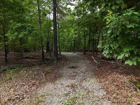 325 FISH & FIDDLE ROAD, Mountain Home, AR 72653