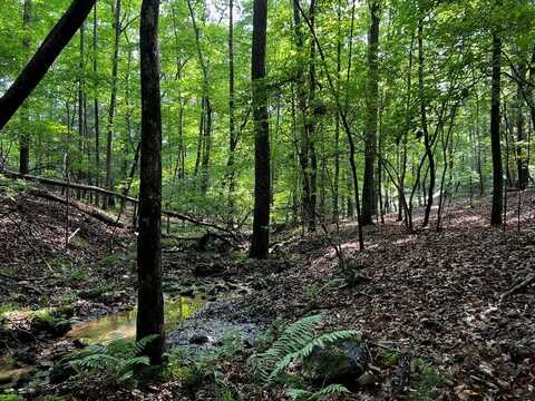 3.52 Ac Payne Way, Blairsville, GA 30512