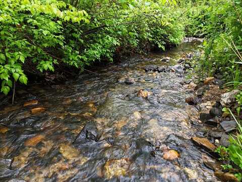 1.22 White Oak Flats Road, Blairsville, GA 30512