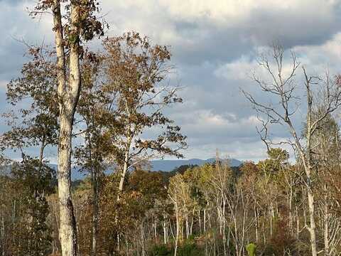 Lot 104 High River Road, Ellijay, GA 30540