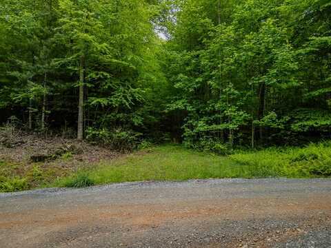 1.8 Acre Mangums Trail, Blue Ridge, GA 30513