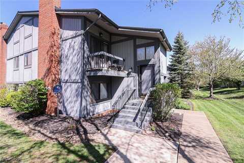 7085 Bristlewood Drive, Concord Twp, OH 44077