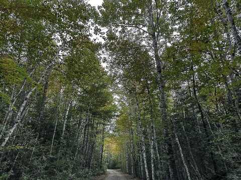 Lot 11-1 Carry Ridge Road, Northfield, ME 04686