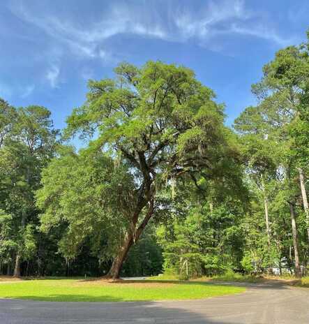 Lot 8 Buttonbush Drive, Ravenel, SC 29470