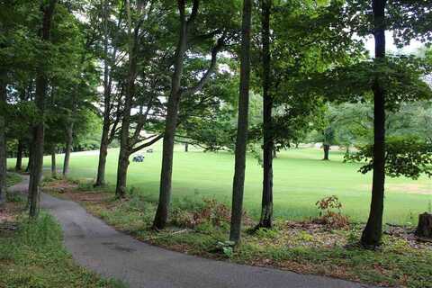 TBD - Lot 43 St. Andrews, Boyne City, MI 49712
