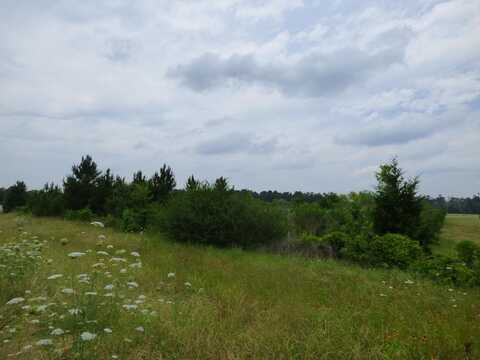 1282 SH 204, Nacogdoches, TX 75964
