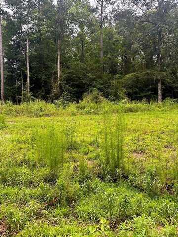 Lot 9 CR 751, Nacogdoches, TX 75964