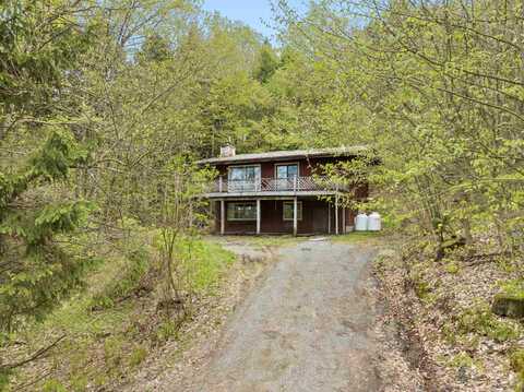 223 Mansfield View Road, Stowe, VT 05672