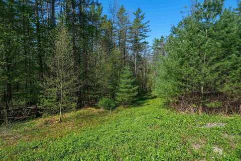 0 Cedar Drive, Ludlow, VT 05149