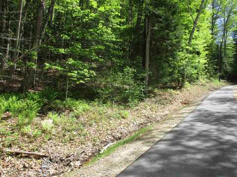 tbt Bog Road, Goffstown, NH 03045
