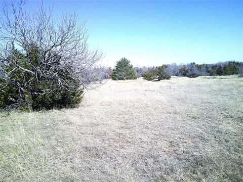 Tr 7 CR 1750, Chico, TX 76431