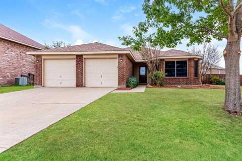 229 Silver Spur Drive, Waxahachie, TX 75165