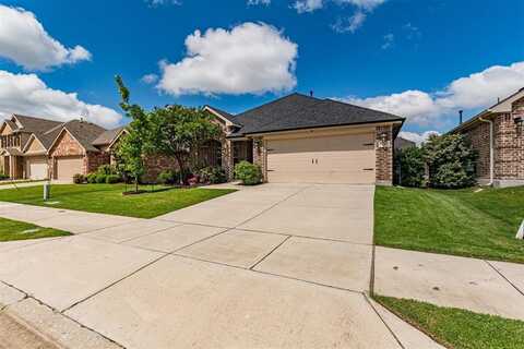 816 Kinghaven Drive, Little Elm, TX 75068