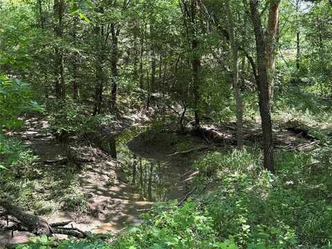 1234 County Road 2905, Dodd City, TX 75438