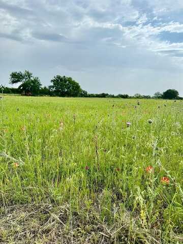 Tbd Sadie Ln, Santo, TX 76472