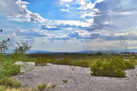 TBD Hwy 67, Presidio, TX 79845