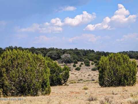 1115 N Jackpot Ranch Road, Seligman, AZ 86337