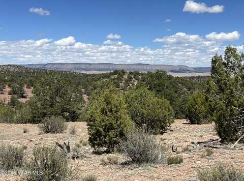 325 Off Of Dusty Rose Ranch Rd, Seligman, AZ 86337