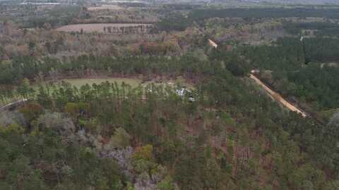 1038 Mcrae Milan Rd, Helena, GA 31055