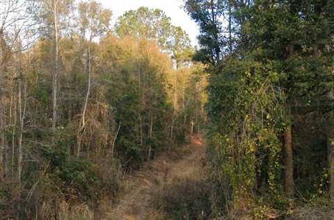 1587 GA HWY 23 S, Waynesboro, GA 30830