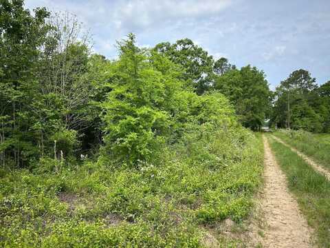 0 Songbird Ln, Chester, SC 29706