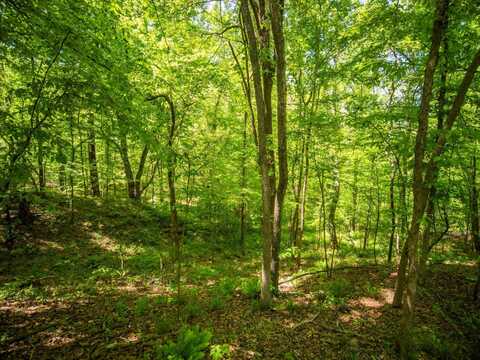 382-400 Robinson Springs Rd, Flora, MS 39071