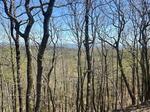 00WP Haas Hill Rd, New Baltimore, NY 12192