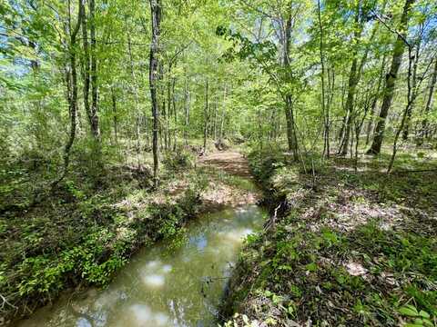 0 Brooklyn Road, Sweet Water, AL 36782