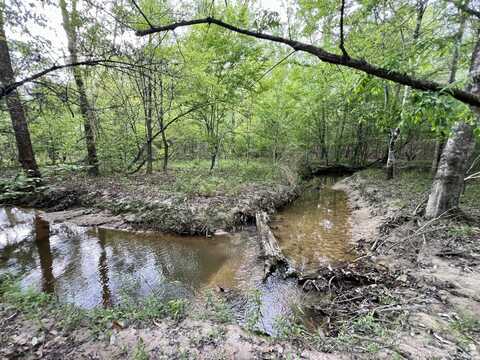 0 County Road 6, Sweet Water, AL 36782