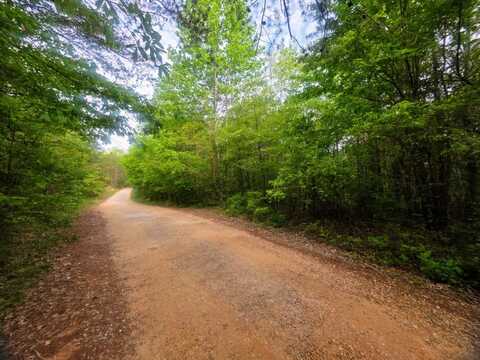 0 County Rd 3022, Double Springs, AL 35553
