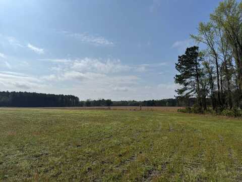 TBD Dovetail Road, Timmonsville, SC 29161