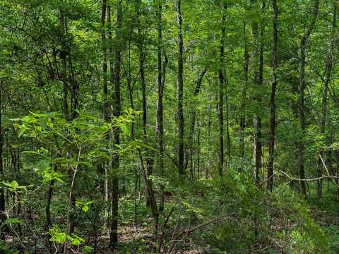 0 Ollie McCullough Road, Sprott, AL 36756