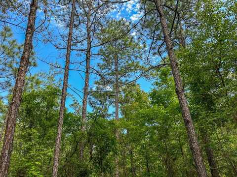 0 Ollie Mccullough Road, Sprott, AL 36756