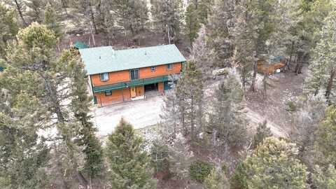 1799 Pitchfork Rd, Hartsel, CO 80449