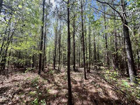 0 Brooklyn Road, Sweet Water, AL 36782