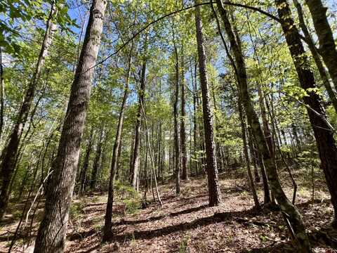 0 Woods Trail, Sweet Water, AL 36782