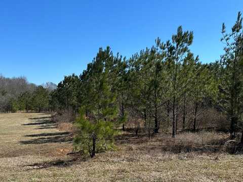 0 E. Chanticleer Drive, Hattiesburg, MS 39402