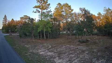 6599 N Varsity Avenue, Citrus Springs, FL 34434