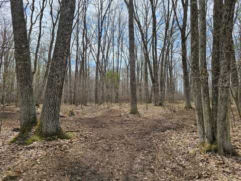 8 French Rd, Beecher Lake, WI 54156