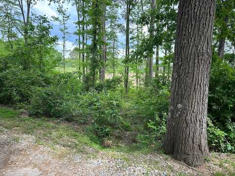 0 Good Place Dr, Catawba, SC 29714