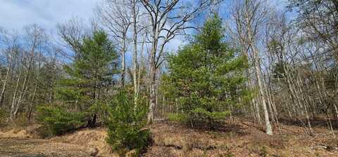 Lot 20.22 Woods Rd, Highland, NY 12719