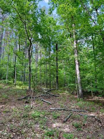 3860 Yellow Creek Road, Louisville, MS 39339