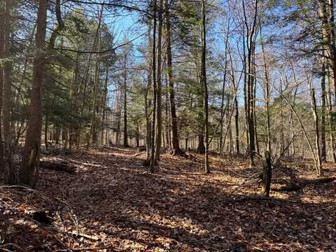 1.7 Marsh Rd., Erin, NY 14838